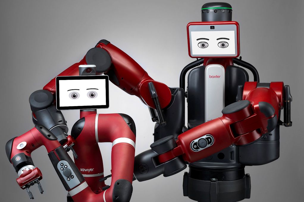 Meet Sawyer and Baxter at the Digital Showcase